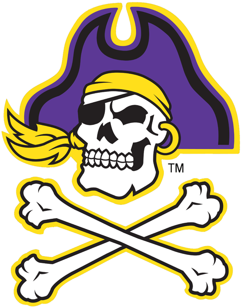 East Carolina Pirates 1999-2013 Alternate Logo diy DTF decal sticker